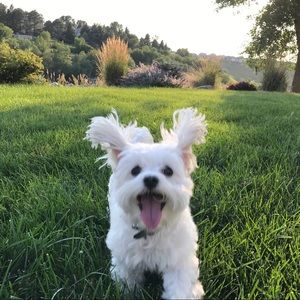 Meet your Posher, Linda